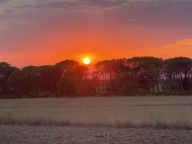 Can Massanet Llagostera Exteriér fotografie